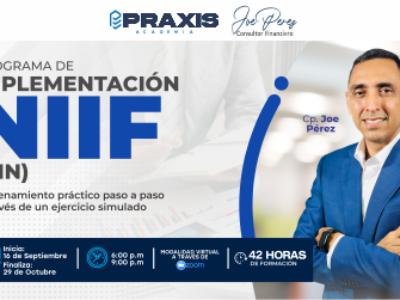 WEB PIN PROGRAMA DE IMPLEMENTACION NIIF 2026 (PIN) realizado del día 16 de septiembre hasta el 29 de octubre del 2026 con una duración de 42 horas.